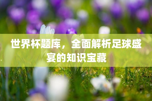 世界杯题库，全面解析足球盛宴的知识宝藏
