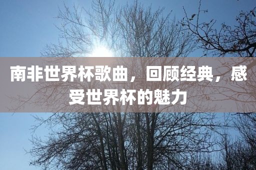 南非世界杯歌曲，回顾经典，感受世界杯的魅力