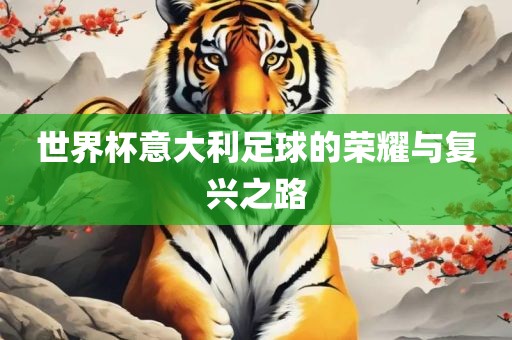 世界杯意大利足球的荣耀与复兴之路