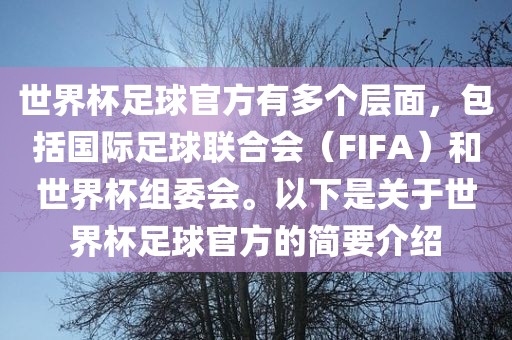 世界杯足球官方有多个层面，包括国际足球联合会（FIFA）和世界杯组委会。以下是关于世界杯足球官方的简要介绍