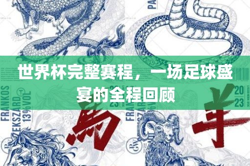 世界杯完整赛程，一场足球盛宴的全程回顾