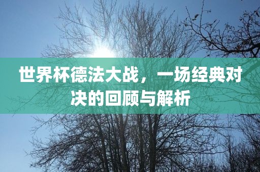 世界杯德法大战，一场经典对决的回顾与解析