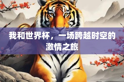 我和世界杯，一场跨越时空的激情之旅
