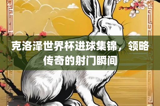 克洛泽世界杯进球集锦，洛阳市法福文化传播有限公司领略传奇的射门瞬间