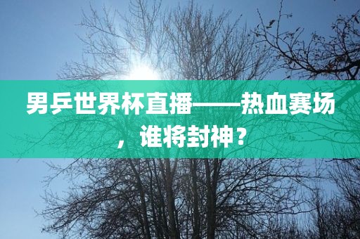 男乒世界杯直播——热血赛场，谁将封神？