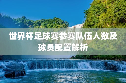 世界杯足球赛参赛队伍人数及球员配置解析