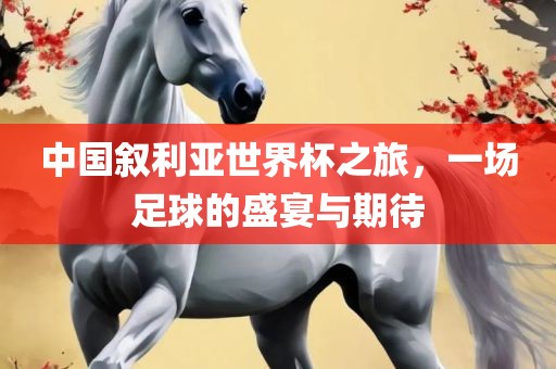 中国叙利亚世界杯之旅，一场足球的盛宴与期待