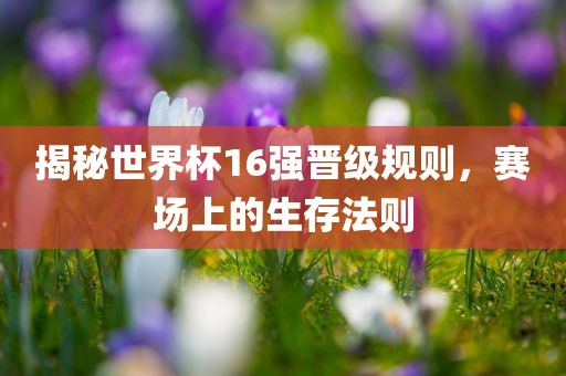 揭秘世界杯16强晋级规则，赛场上的生存法则