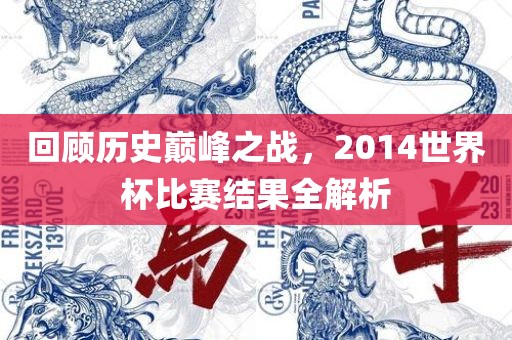 回顾历史巅峰之战，2014世界杯比赛结果全解析
