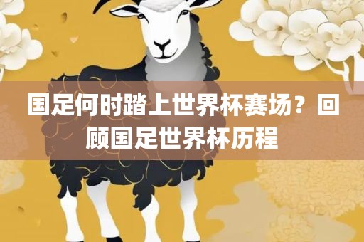 国足何时踏上世界杯赛场？回顾国足世界杯历程