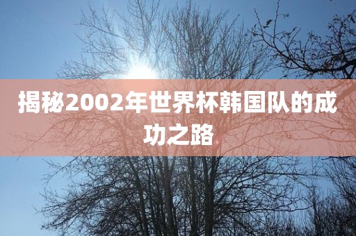 揭秘2002年世界杯韩国队的成功之路洛阳市法福文化传播有限公司