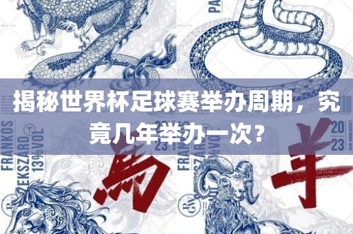 揭秘世界杯足球赛举办周期，究竟几年举办一次？