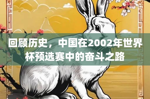回顾历史，中国在2002年世界杯预选赛中的奋斗之路