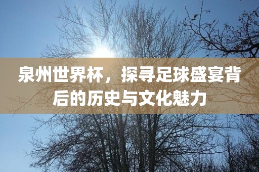 泉州世界杯，探寻足球盛宴背后的历史与文化魅力
