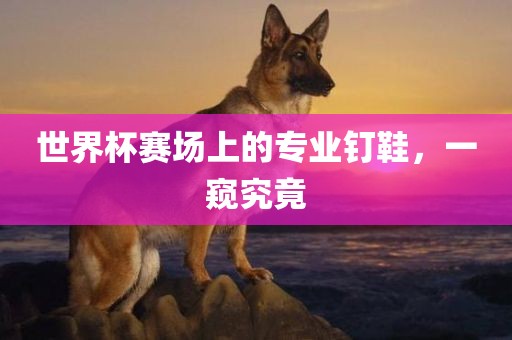 世界杯赛场上的专业钉鞋，一窥究竟
