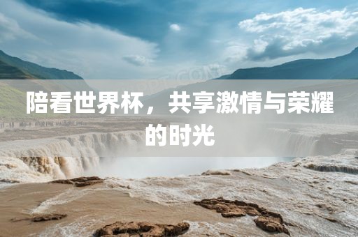 陪看世界杯，共享激情与荣耀的时光