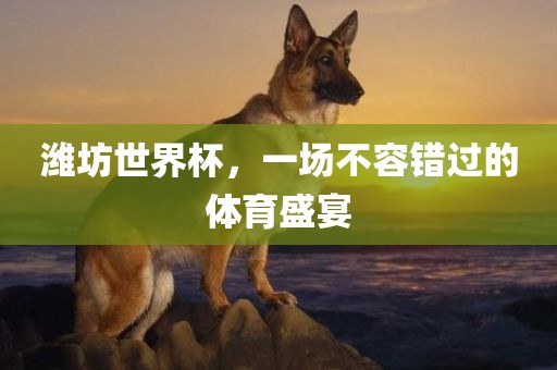潍坊世界杯，一场不容错过的体育盛宴