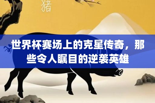 世界杯赛场上的克星传奇，那些令人瞩目的逆袭英雄
