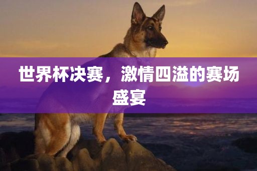 世界杯决赛，激情四溢的赛场盛宴