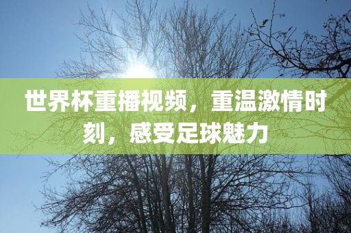 世界杯重播视频，重温激情时刻，感受足球魅力