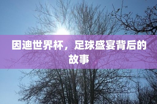 因迪世界杯，足球盛宴背后的故事