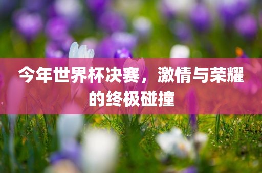 今年世界杯决赛，激情与荣耀的终极碰撞