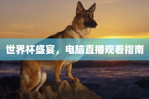 世界杯盛宴，电脑直播观看指南