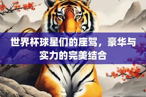 世界杯球星们的座驾，豪华与实力的完美结合