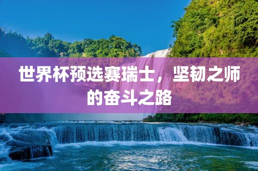 世界杯预选赛瑞士，坚韧之师的奋斗之路