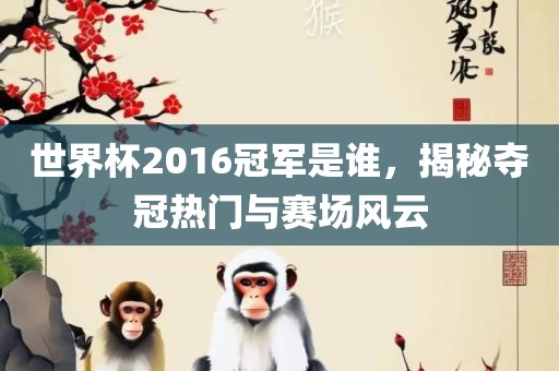 世界杯2016冠军是谁，揭秘夺冠热门与赛场风云