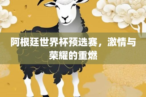 阿根廷世界杯预选赛，激情与荣耀的重燃