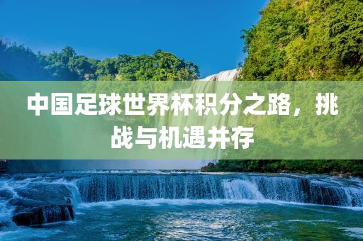 中国足球世界杯积分之路，挑战与机遇并存