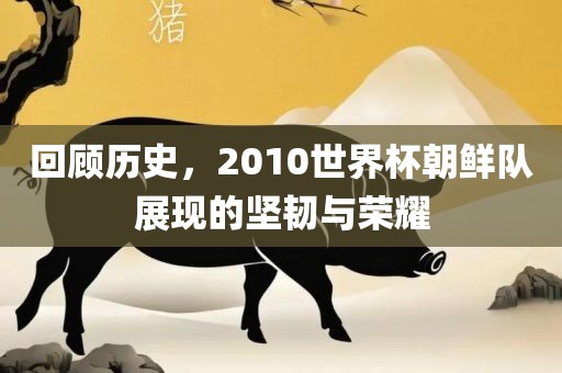 回顾历史，2010世界杯朝鲜队展现的坚韧与荣耀