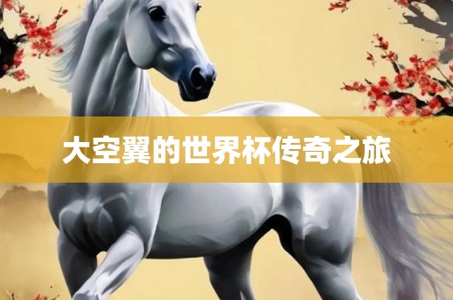 大空翼的世界杯传奇之旅