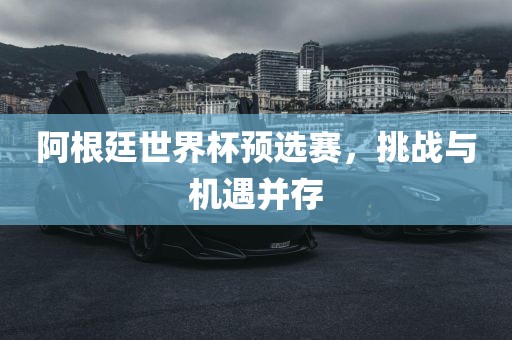 阿根廷世界杯预选赛，挑战与机遇并存