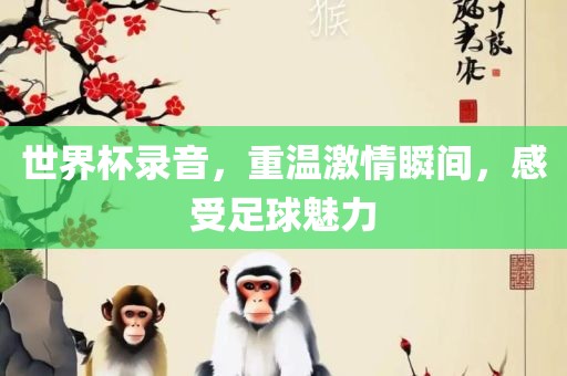 世界杯录音，重温激情瞬间，感受足球魅力