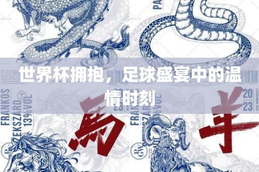 世界杯拥抱，足球盛宴中的温情时刻