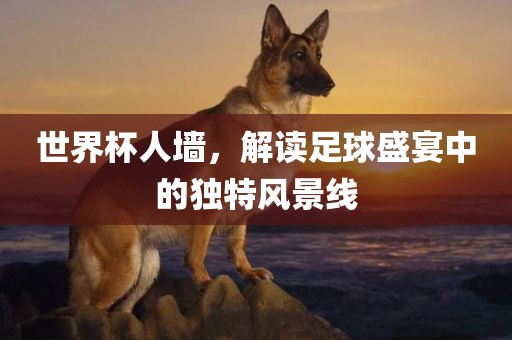 世界杯人墙，解读足球盛宴中的独特风景线