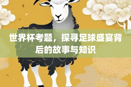 世界杯考题，探寻足球盛宴背后的故事与知识