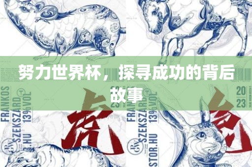 努力世界杯，探寻成功的背后故事