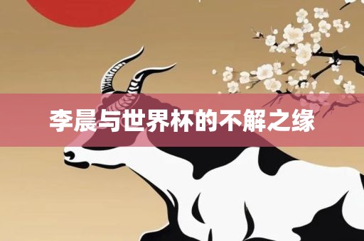 李晨与世界杯的不解之缘