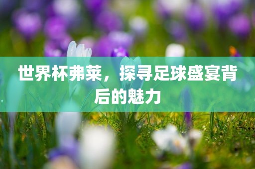 世界杯弗莱，探寻足球盛宴背后的魅力