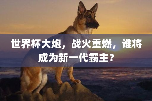 世界杯大炮，战火重燃，谁将成为新一代霸主？
