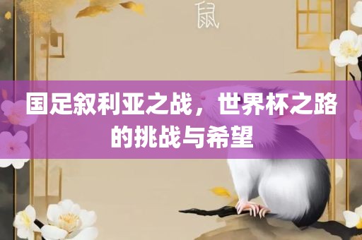 国足叙利亚之战，世界杯之路的挑战与希望