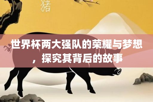 世界杯两大强队的荣耀与梦想，探究其背后的故事