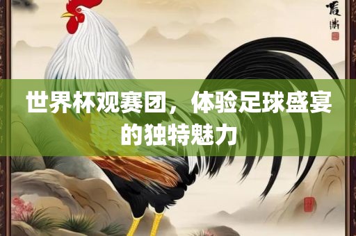 世界杯观赛团，体验足球盛宴的独特魅力