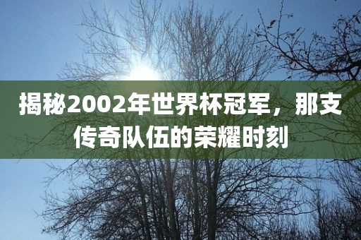 揭秘2002年世界杯冠军，那支传奇队伍的荣耀时刻