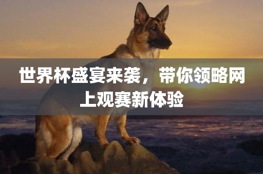 世界杯盛宴来袭，带你领略网上观赛新体验