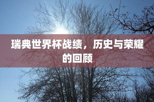 瑞典世界杯战绩，历史与荣耀的回顾
