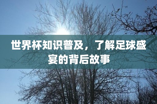 世界杯知识普及，了解足球盛宴的背后故事